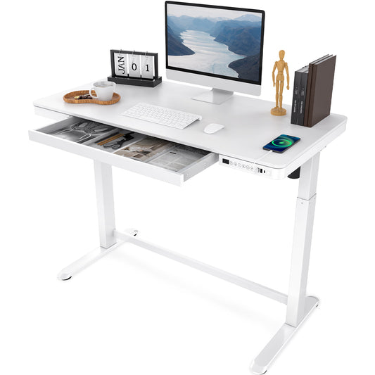 FlexiSpot 48" W Home Office Height Adjustable Standing Desk