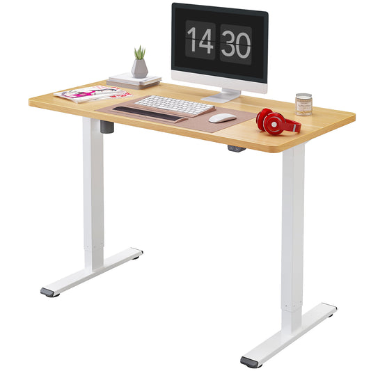 FlexiSpot Home Office Electric Height Adjustable Standing Desk 48" x 30"
