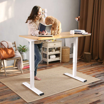 FlexiSpot Home Office Electric Height Adjustable Standing Desk 48" x 30"